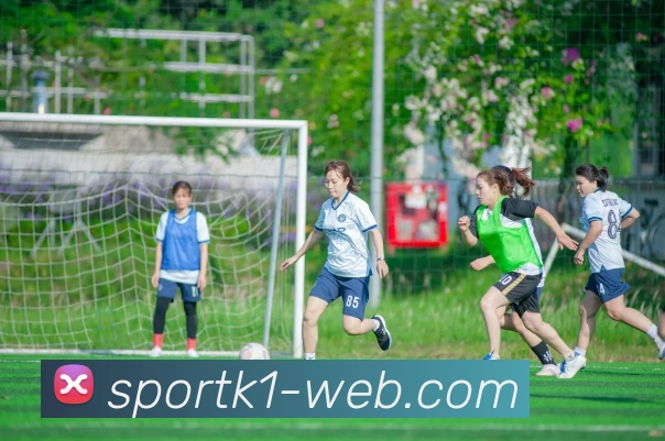 k1体育发展历程